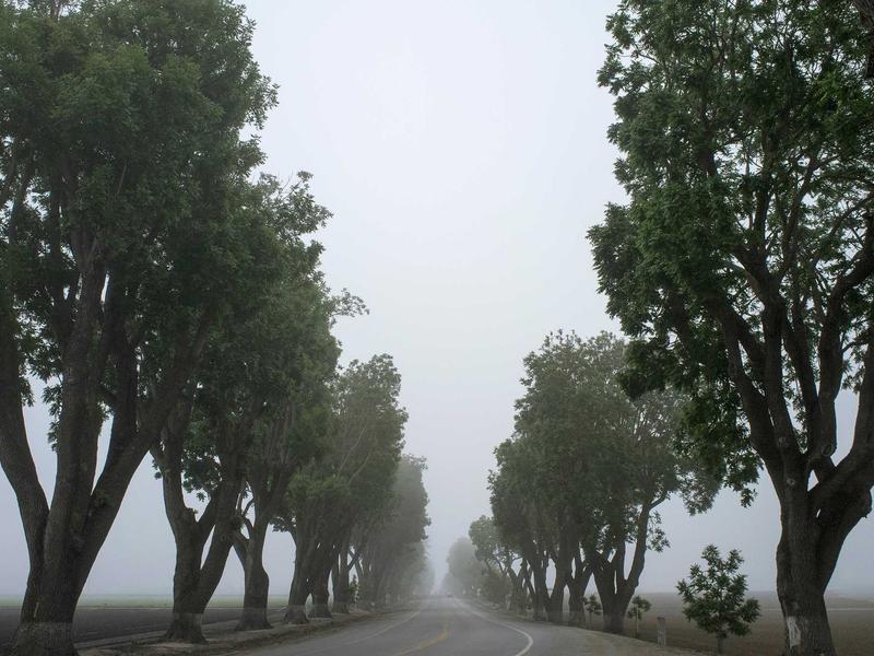 Հրավառություններ